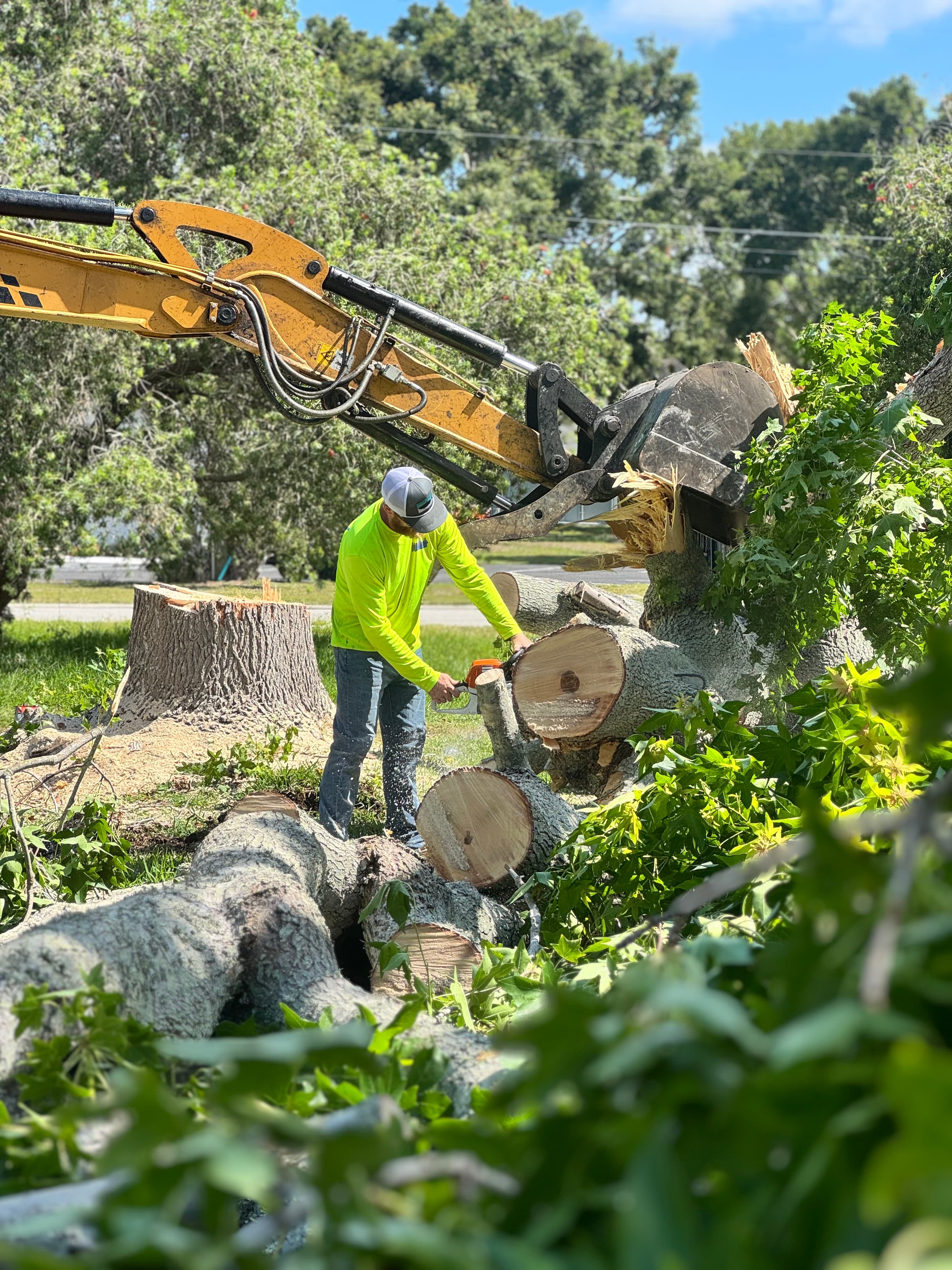 Mojo crew member clearing tree debris for property preparation