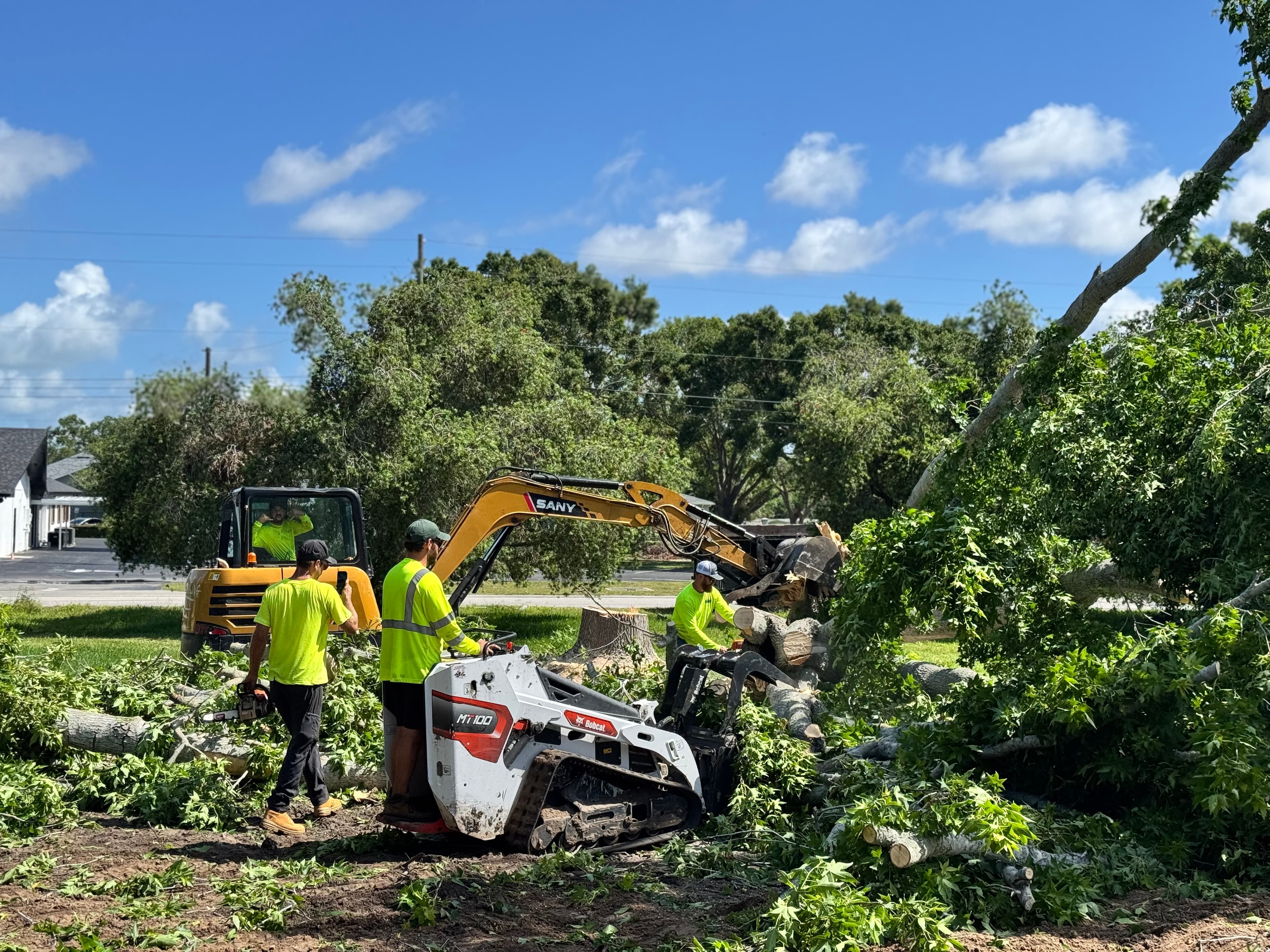 Land clearing services for a residential property in Tampa Bay